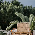 Herdade D'amoreira Jasmin Vila