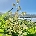 Herdade D'amoreira Jasmin ヴィラ *