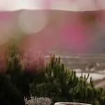Villa Herdade D'amoreira Jasmin