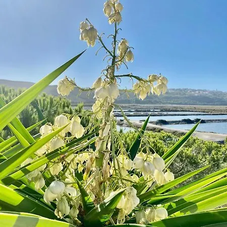 Herdade D'amoreira Jasmin Villa *