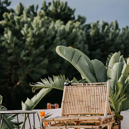 Herdade D'amoreira Jasmin 빌라