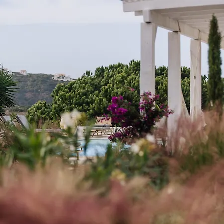 Herdade D'amoreira Jasmin